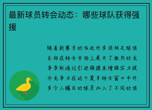 最新球员转会动态：哪些球队获得强援