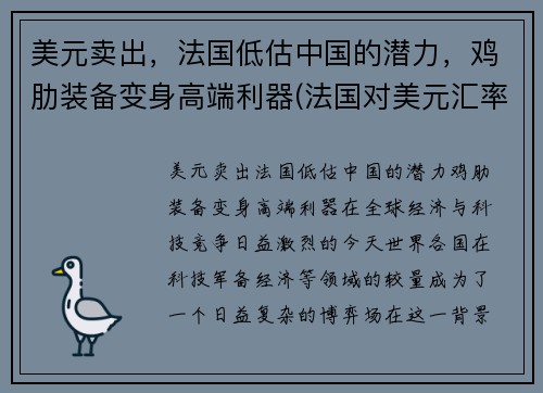 美元卖出，法国低估中国的潜力，鸡肋装备变身高端利器(法国对美元汇率)