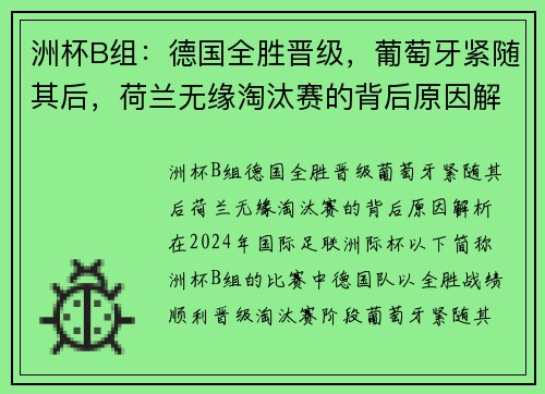 洲杯B组：德国全胜晋级，葡萄牙紧随其后，荷兰无缘淘汰赛的背后原因解析